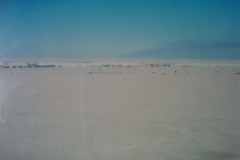 IMG-20110306-00041