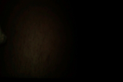 IMG-20110306-00052