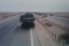 IMG-20110306-00064