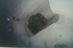 IMG-20110306-00072