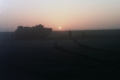 IMG-20110306-00074