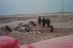 IMG-20110306-00075