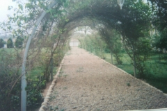 IMG-20110306-00082