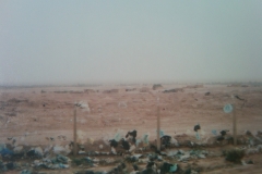 IMG-20110306-00089