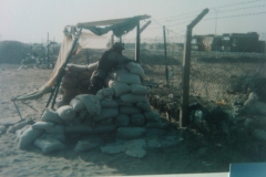 IMG-20110306-00090
