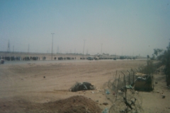 IMG-20110306-00091