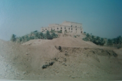 IMG-20110306-00101