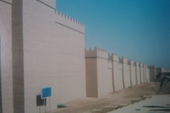 IMG-20110306-00103