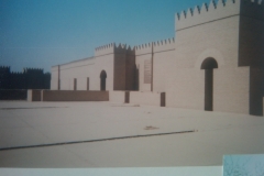 IMG-20110306-00104