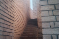 IMG-20110306-00108