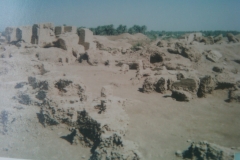 IMG-20110306-00110