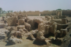 IMG-20110306-00111