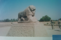 IMG-20110306-00112