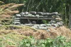 1st-plt-028