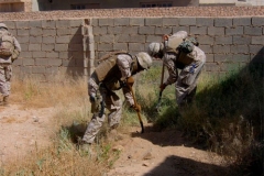 DIGGING-FOR-GOLD