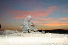 OIF 2 126