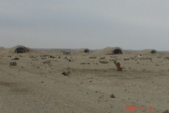 OIF 2 129
