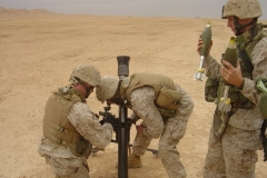OIF 2 184