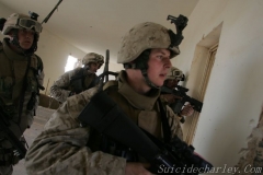 OIF 2 203