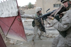 OIF 2 217