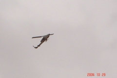 OIF 2 60