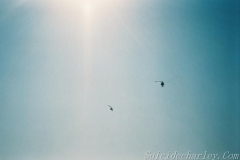 OIF2-16
