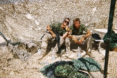 OIF2-19