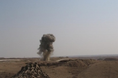 OIF2-20