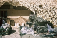 OIF2-21