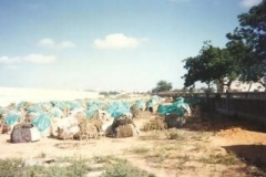 Operation_Restore_Hope098