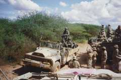 Operation_Restore_Hope115