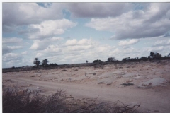 Operation_Restore_Hope205