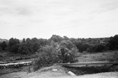 000viet-R1-E026
