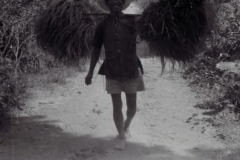 000viet-R1-E081